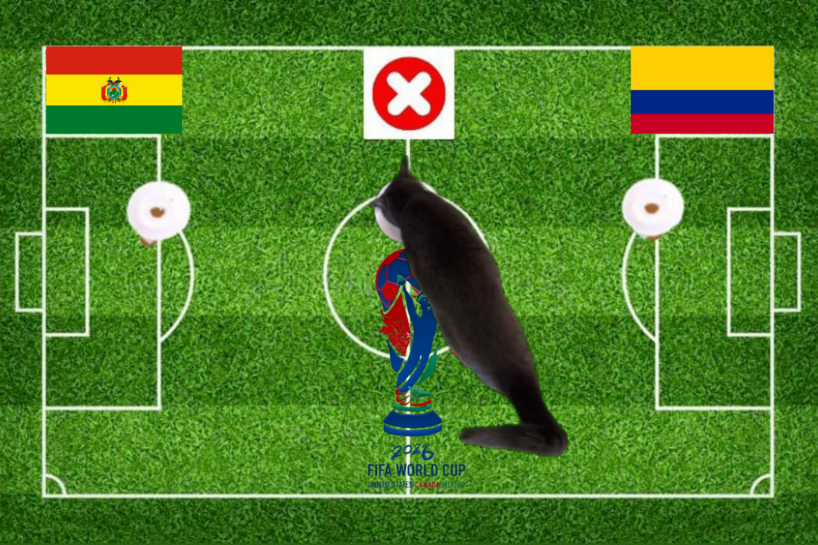 Lựa chọn của chú mèo tiên tri trước trận Bolivia vs Colombia