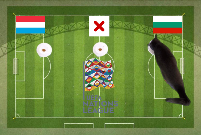 Lựa chọn của chú mèo tiên tri trước trận Bulgaria vs Luxembourg