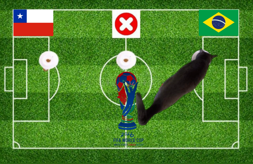 Lựa chọn của chú mèo tiên tri trước trận Chile vs Brazil