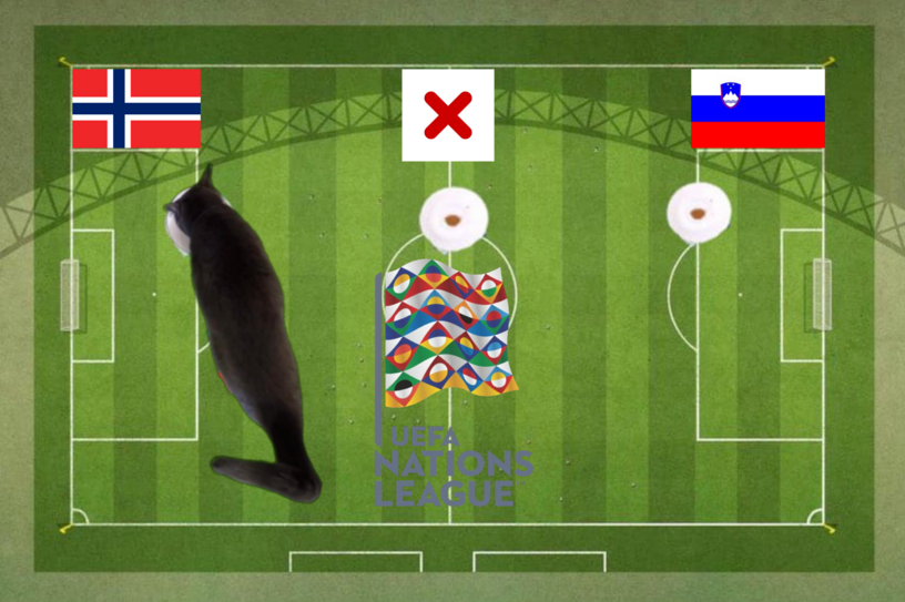 Lựa chọn của chú mèo tiên tri trước trận Na Uy vs Slovenia